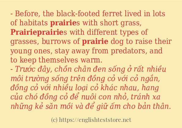 Câu ví dụ của từ prairie