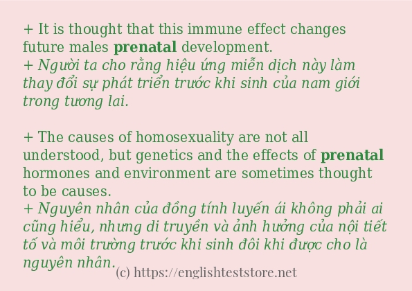 Câu ví dụ của từ prenatal Câu ví dụ của từ prenatal
