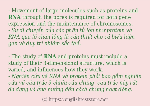 Câu ví dụ của từ rna Câu ví dụ của từ rna
