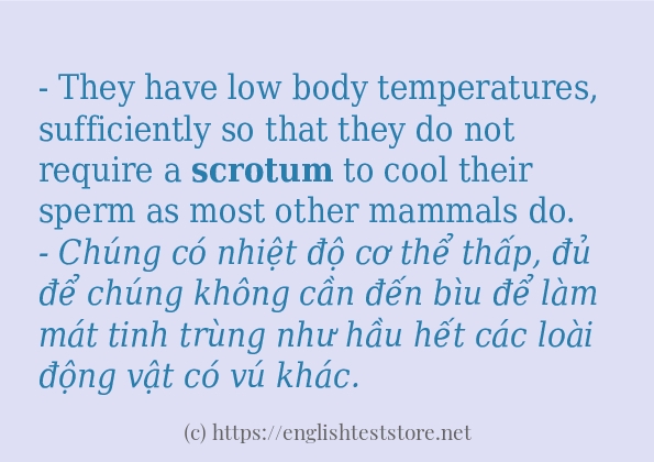 Câu ví dụ của từ scrotum Câu ví dụ của từ scrotum
