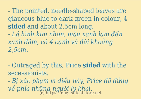 Câu ví dụ của từ sided