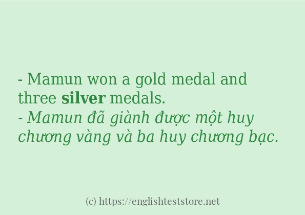 Câu ví dụ của từ silver Câu ví dụ của từ silver
