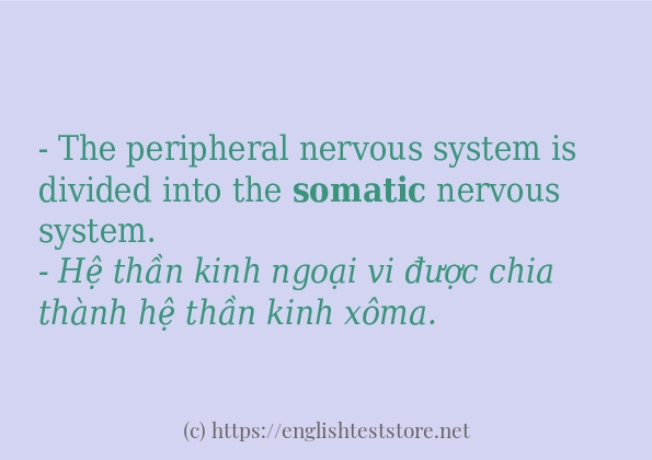 Câu ví dụ của từ somatic