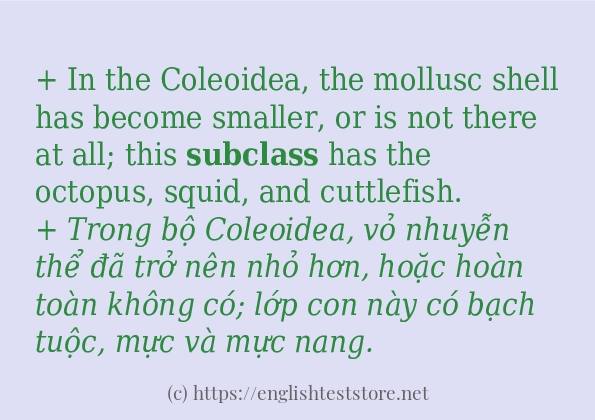 Câu ví dụ của từ subclass