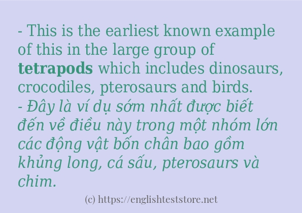 Câu ví dụ của từ tetrapods