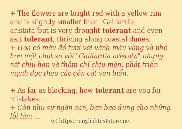 Câu ví dụ của từ tolerant Câu ví dụ của từ tolerant
