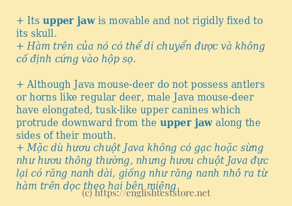 Câu ví dụ của từ upper jaw