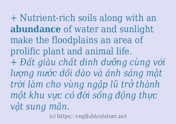 abundance có bao nhiêu cách dùng?
