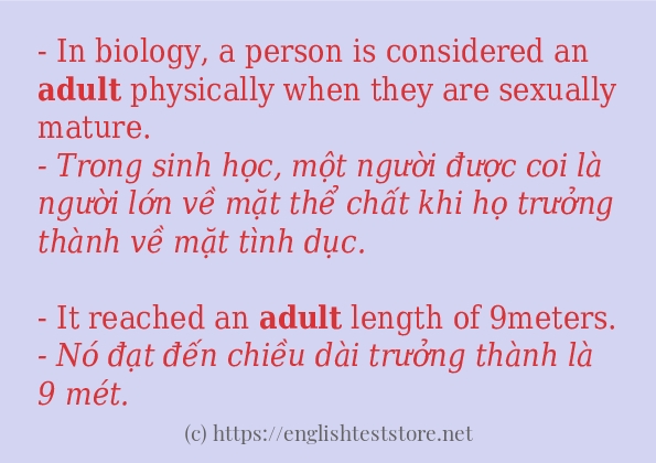 adult sử dụng như thế nào và câu ví dụ