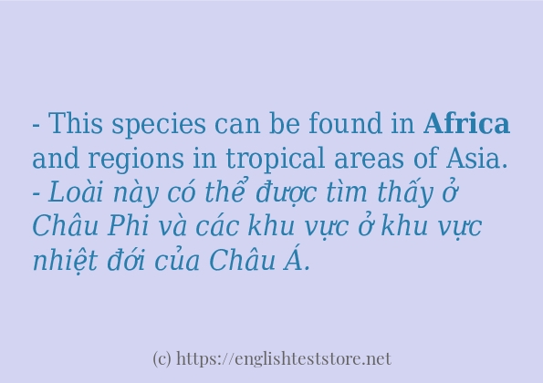 africa áp dụng trong câu và ví dụ