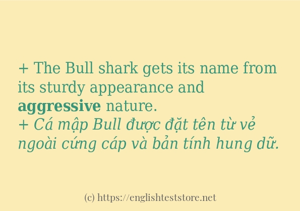 aggressive các cách dùng và câu ví dụ aggressive các cách dùng và câu ví dụ