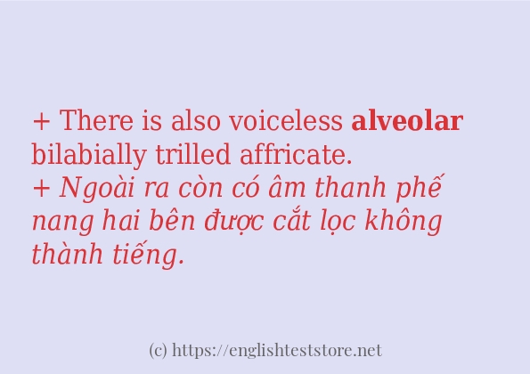 alveolar cách sử dụng và câu ví dụ