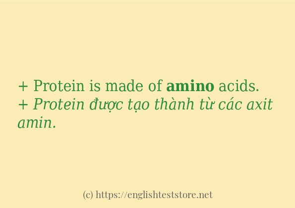 amino câu ví dụ và cách sử dụng