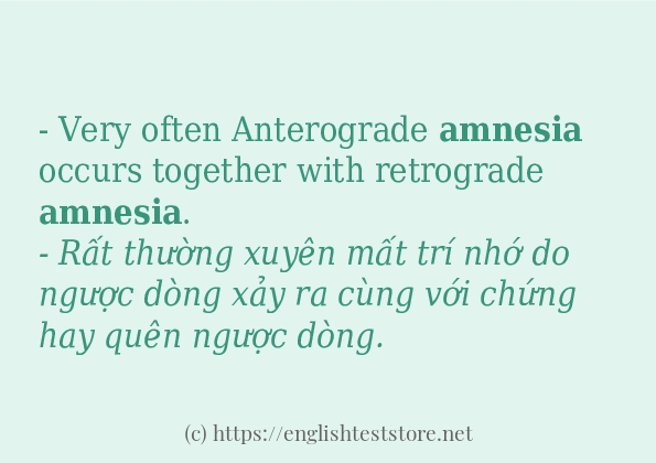 amnesia cách dùng và ví dụ trong câu