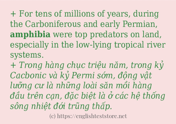 amphibia sử dụng như thế nào và câu ví dụ amphibia sử dụng như thế nào và câu ví dụ