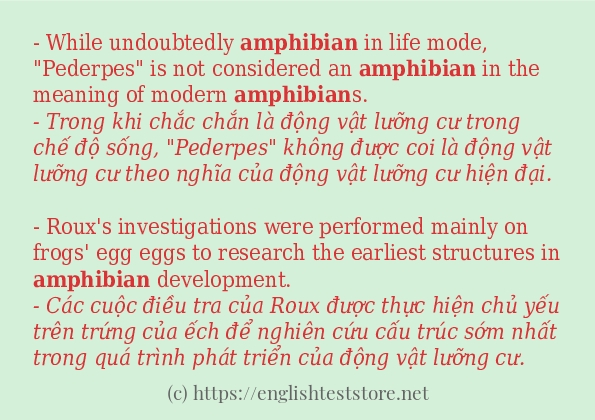 amphibian câu ví dụ về cách dùng