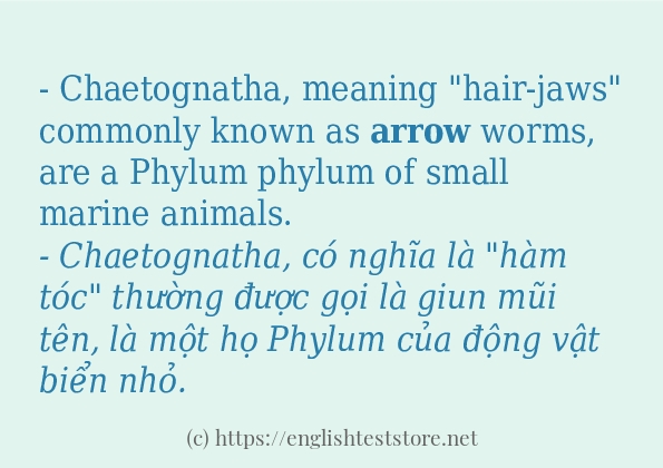 arrow ví dụ và cách sử dụng trong câu