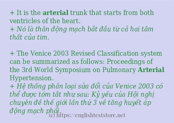 arterial cách sử dụng và câu ví dụ