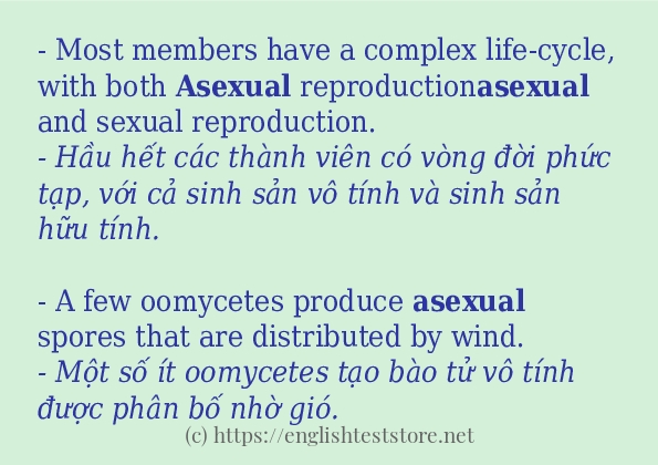 asexual các cách dùng và câu ví dụ asexual các cách dùng và câu ví dụ