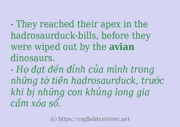 avian câu ví dụ về cách dùng