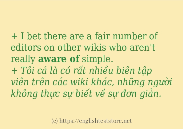 aware of ví dụ và cách sử dụng trong câu