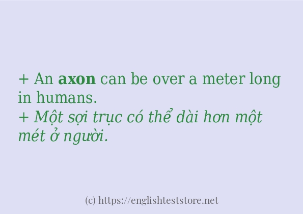 axon ví dụ cách dùng trong câu