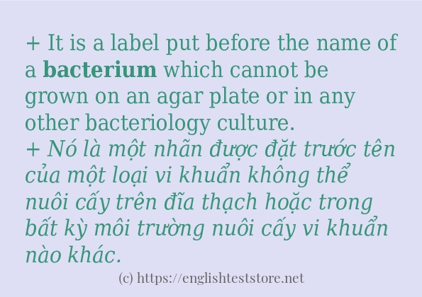 bacterium sử dụng như thế nào?