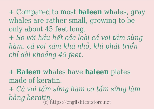 baleen cách dùng và câu ví dụ