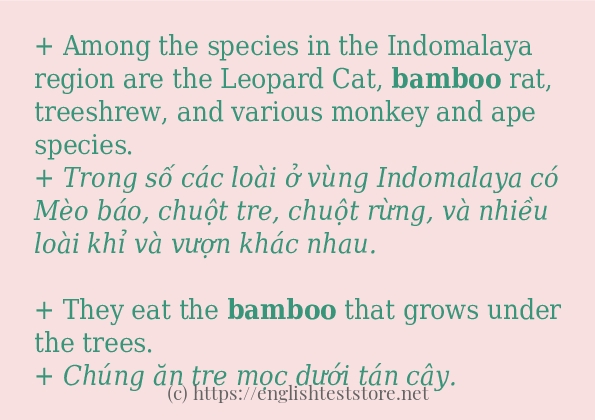 bamboo các cách dùng và câu ví dụ