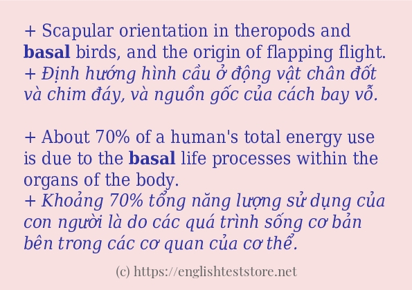 basal có bao nhiêu cách sử dụng?