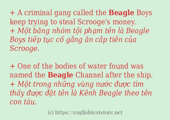 beagle ví dụ cách dùng trong câu
