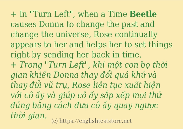 beetle cách dùng và câu ví dụ