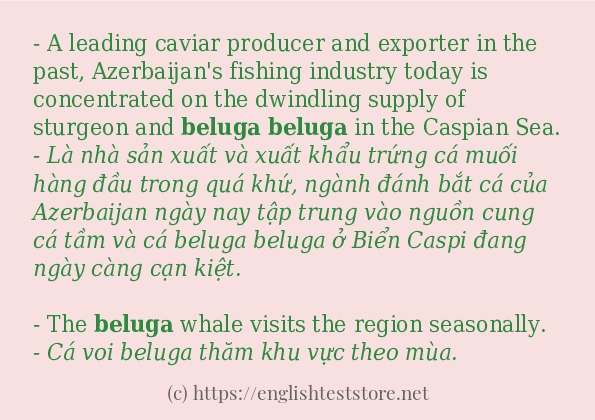 beluga có bao nhiêu cách dùng? beluga có bao nhiêu cách dùng?