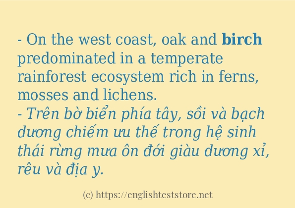 birch câu ví dụ và cách sử dụng