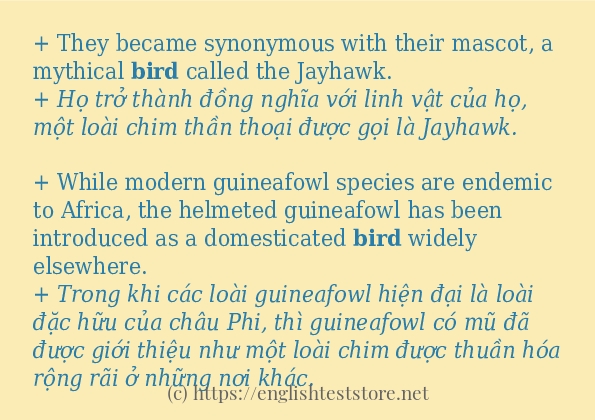 bird cách dùng và câu ví dụ