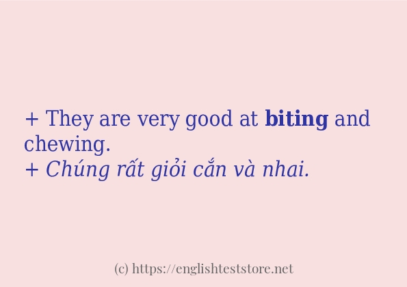 biting các cách dùng và câu ví dụ