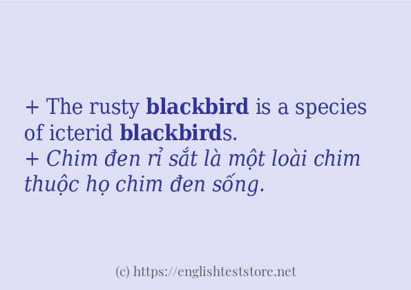 blackbird cách dùng và câu ví dụ