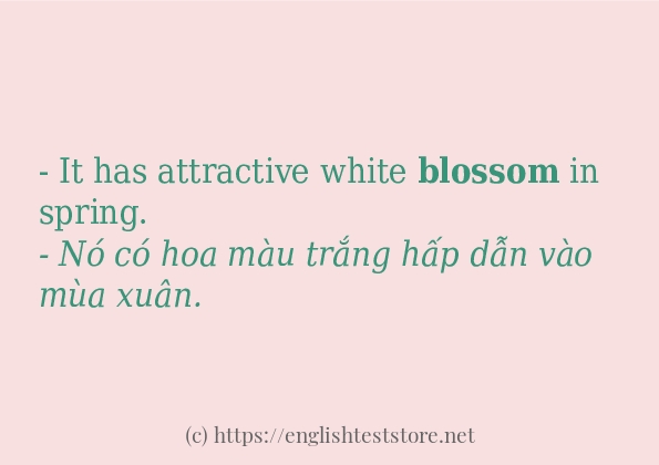 blossom sử dụng như thế nào và câu ví dụ blossom sử dụng như thế nào và câu ví dụ