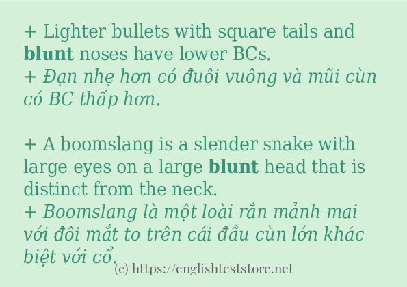 blunt sử dụng như thế nào và câu ví dụ