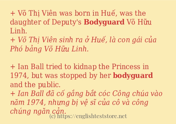 bodyguard sử dụng như thế nào và câu ví dụ bodyguard sử dụng như thế nào và câu ví dụ