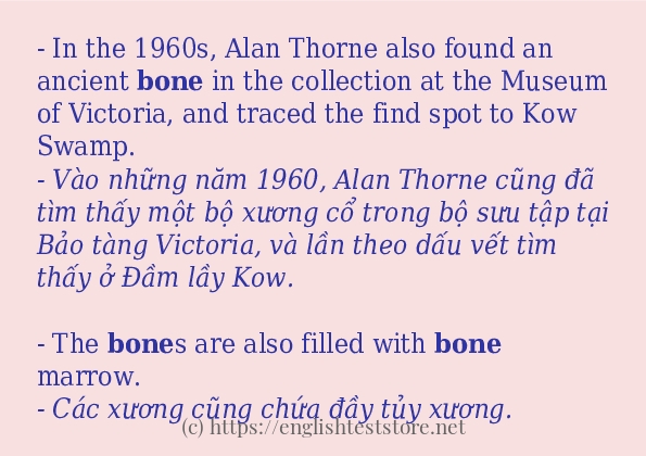 bone ví dụ và cách sử dụng trong câu bone ví dụ và cách sử dụng trong câu