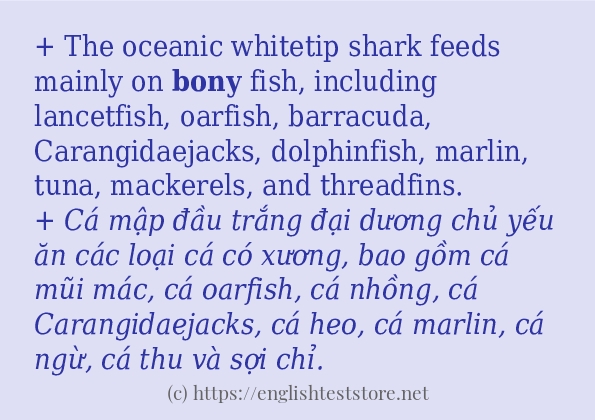bony cách dùng và ví dụ trong câu bony cách dùng và ví dụ trong câu
