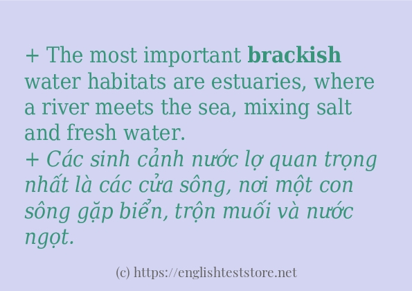 brackish ví dụ cách dùng trong câu