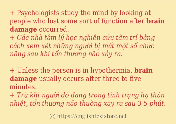 brain damage các cách dùng và câu ví dụ