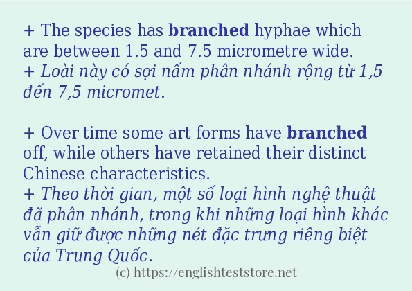 branched cách dùng và câu ví dụ