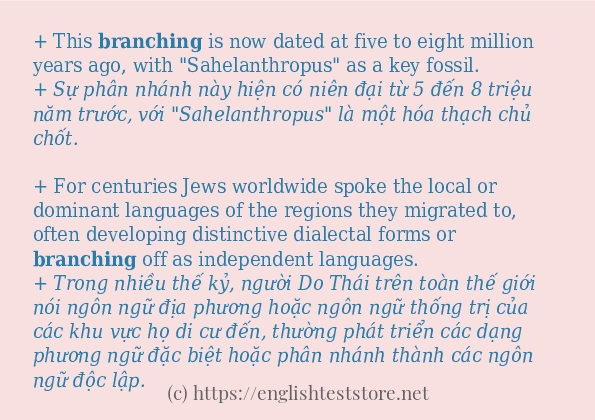 branching các cách dùng và câu ví dụ