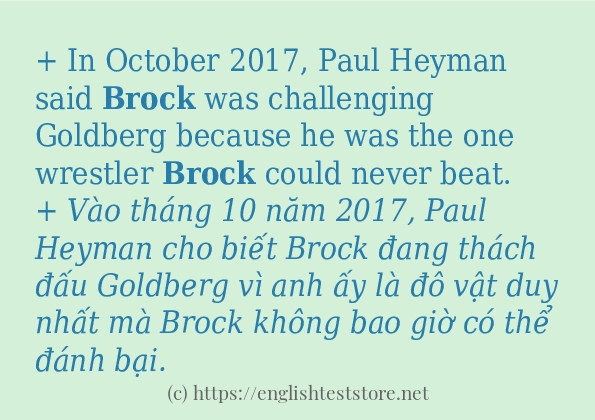 brock cách sử dụng và câu ví dụ