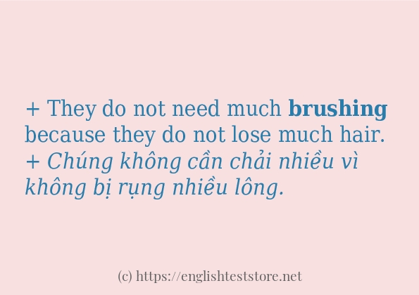 brushing dùng như thế nào?