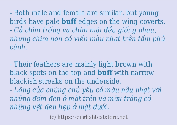 buff câu ví dụ về cách dùng buff câu ví dụ về cách dùng