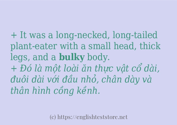 bulky câu ví dụ và cách sử dụng
